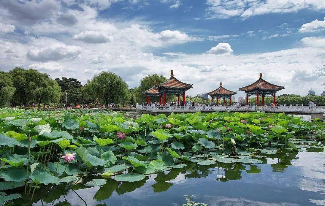太仓招聘网最新招聘，探索自然美景之旅，寻找内心平和的职场伙伴