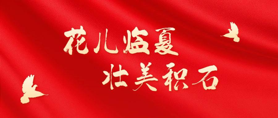 章丘最新招聘信息今日更新，学习变化，成就自我发展之路