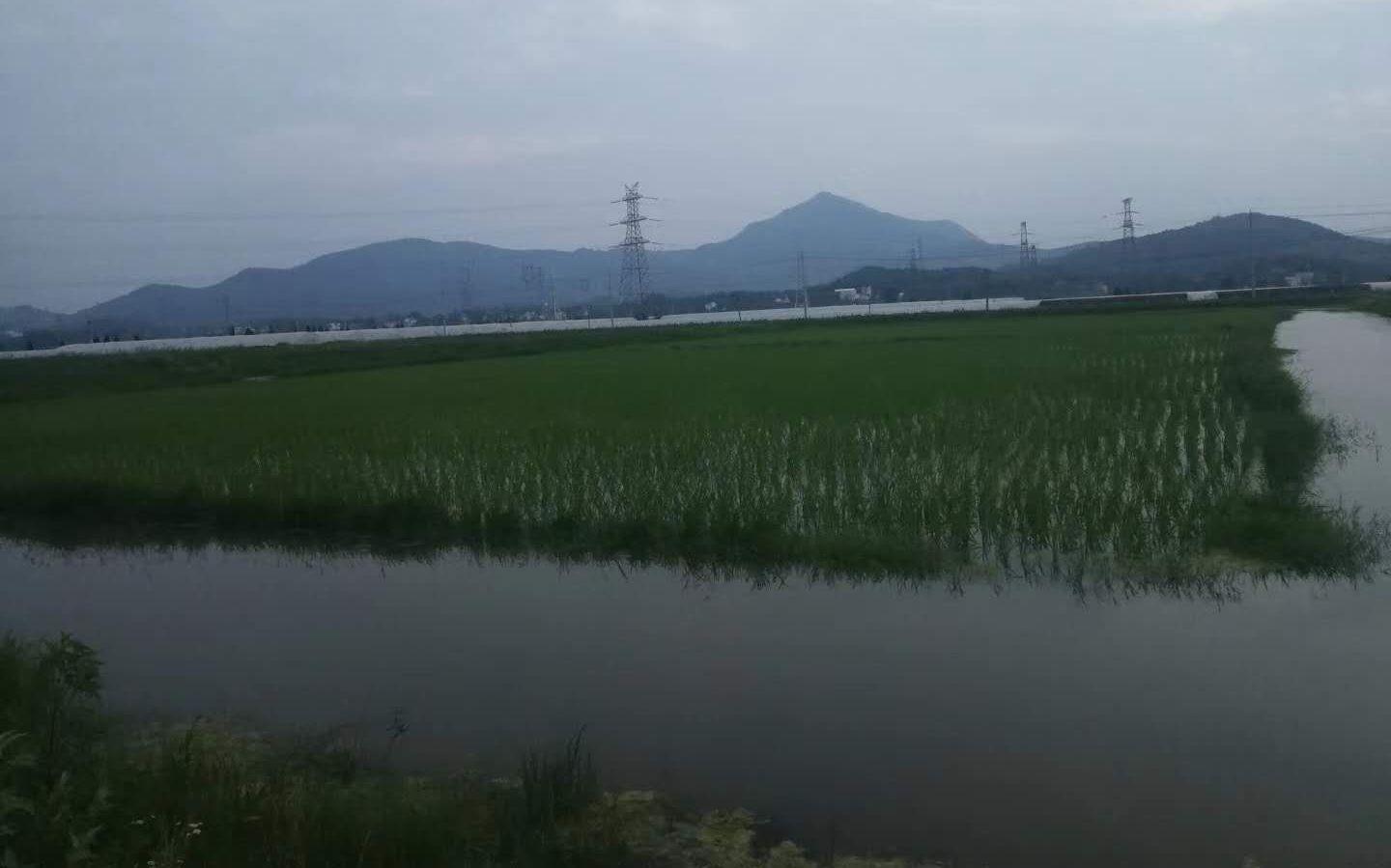 水灾视频最新，自然美景探索之旅的轻松之旅纪实片