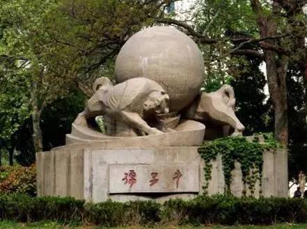 李杲老师最新视频，自然美景之旅，探寻内心的宁静与平和