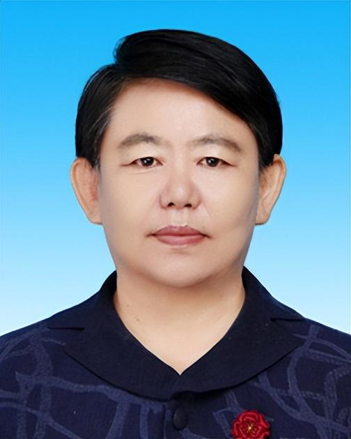 内蒙古党委最新任命，多方观点探析与个人立场阐述的探讨