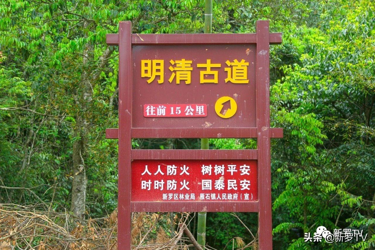邓馆最新留言，自然美景之旅，探寻内心的宁静与平和