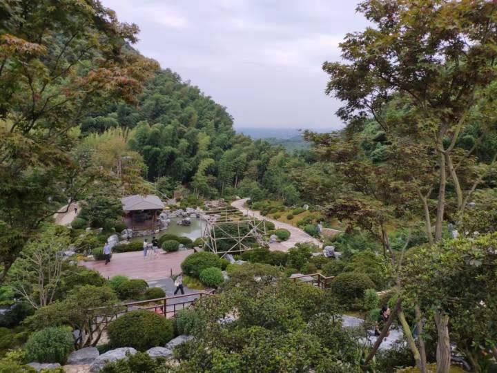 最新奇幻大作，自然美景鼓舞之旅探索开启
