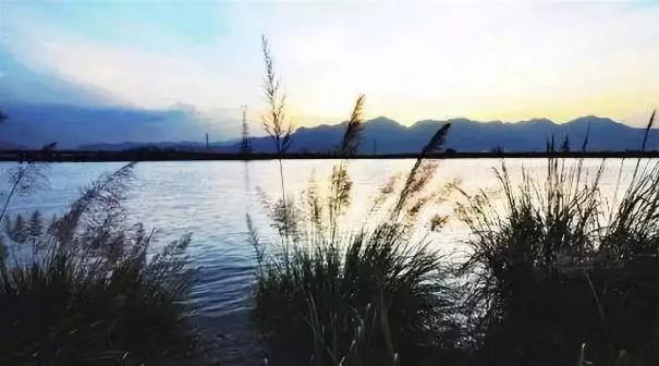 济南最新两例，自然美景探索之旅，寻找内心的平和与喜悦