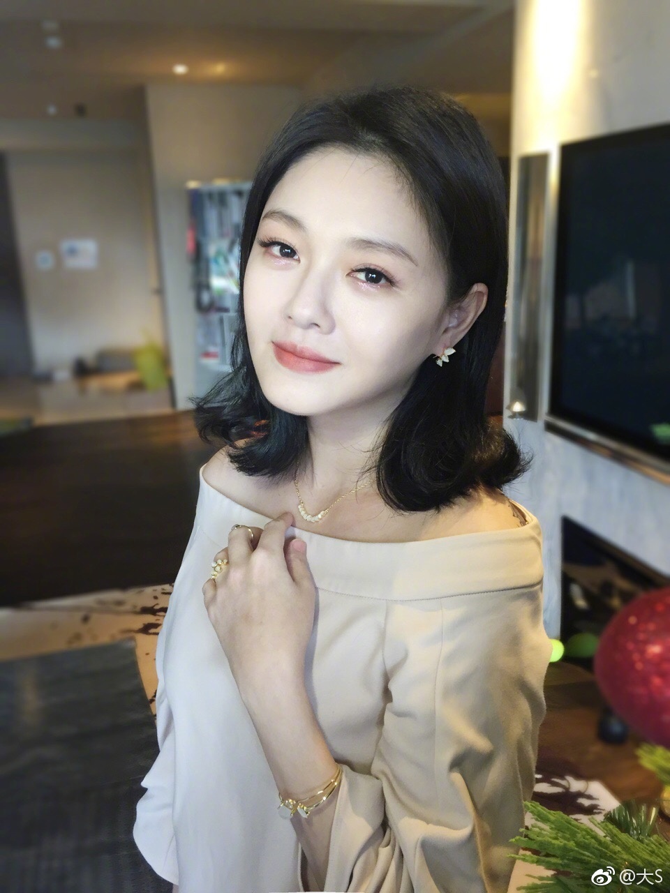 大S最新动态与探索自然美景之旅，追寻内心的平和