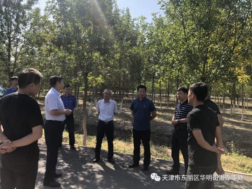 天津米子明最新动态更新