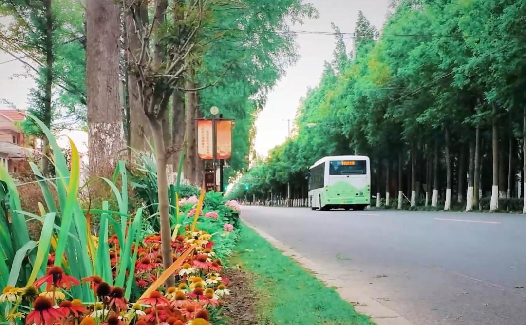 国企改革最新动态，自然美景下的探索之旅