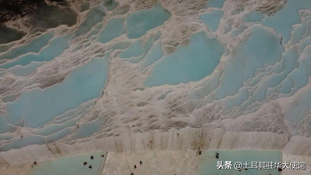 棉花期货价格最新行情揭秘，奇妙旅程中的市场波动