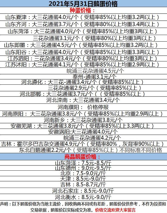 鹅价格行情最新动态更新