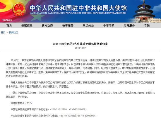 中非共和国最新动态及其影响分析，一种观点探讨