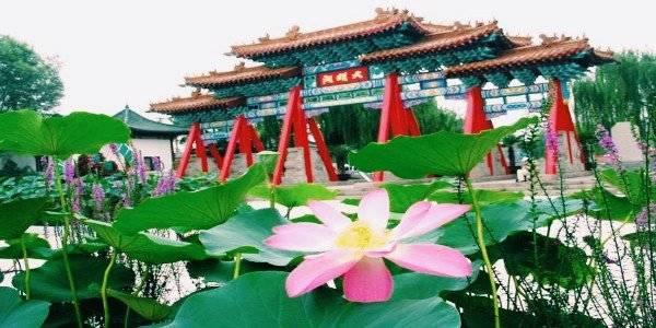 明月荷最新，自然美景的探索之旅