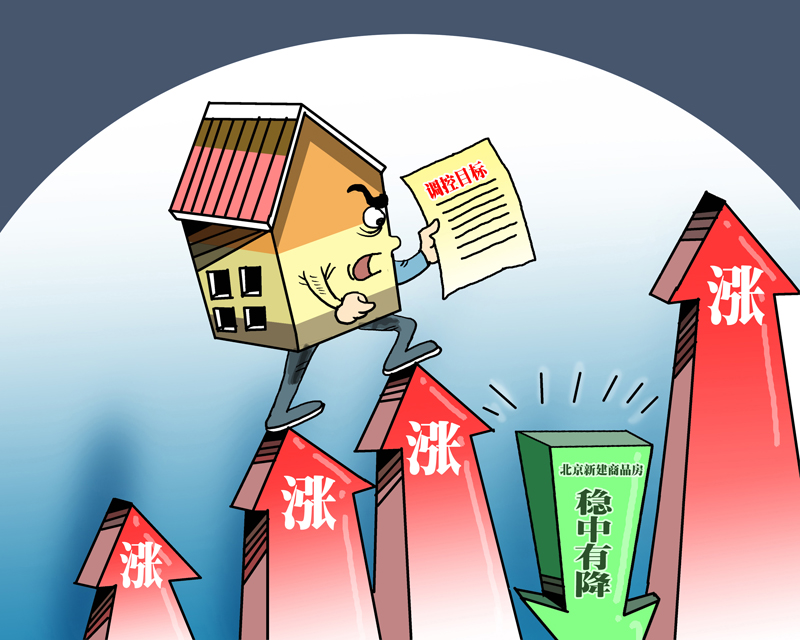 温馨小故事揭示最新地震动态，传递希望与关怀的力量