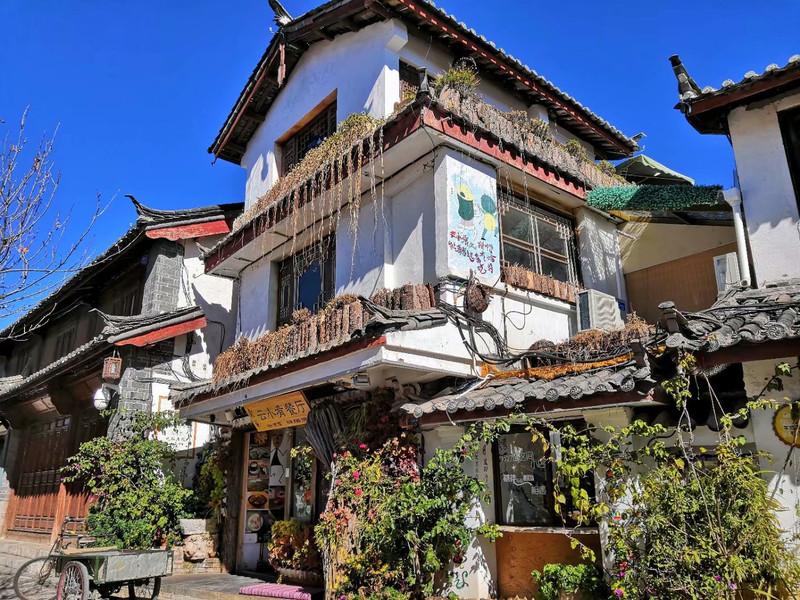 小巷深处的神秘软件宝藏，最新软件榜单探索之旅