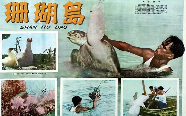 探索夜色中的知识宝藏，夜色课件最新更新发布