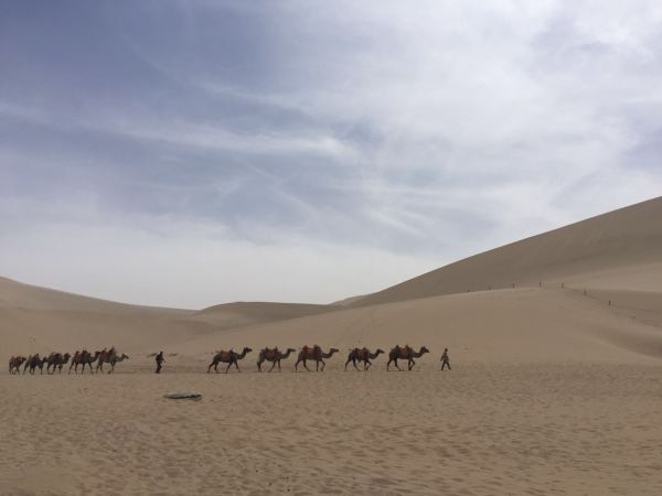 最新布料机，自然美景探险之旅，探寻内心平和宁静的旅程