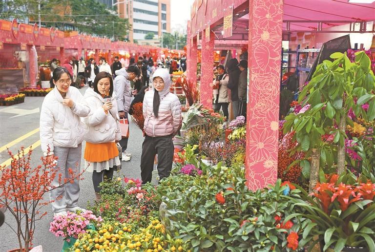 花街最新绿色之旅，寻找内心的平静