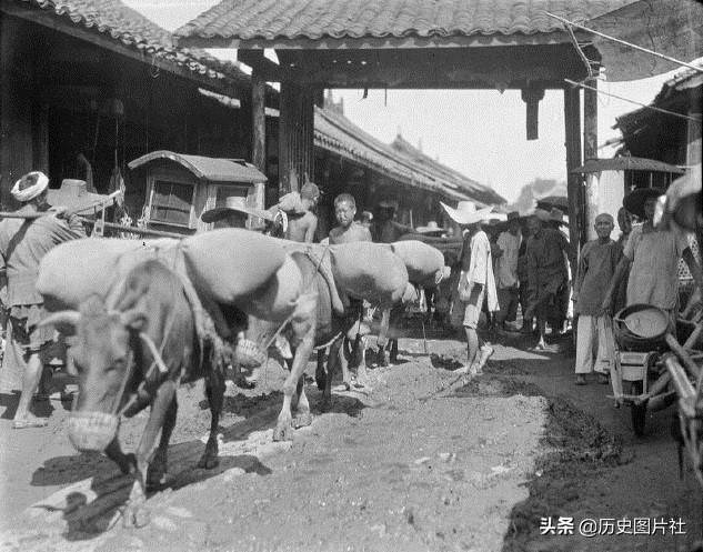 都江堰最新新闻，探索自然美景之旅，寻觅内心平和的乐园
