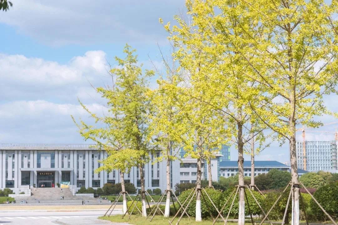 航天币最新价格，开启自然美景探索之旅