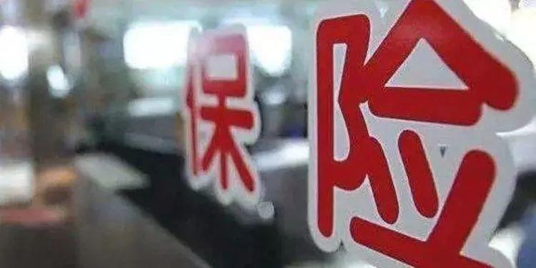 饲料行业最新招聘动态及论述