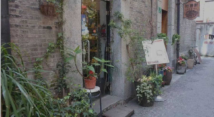 传奇最新辅助揭秘，小巷神秘宝藏与隐藏特色小店探索