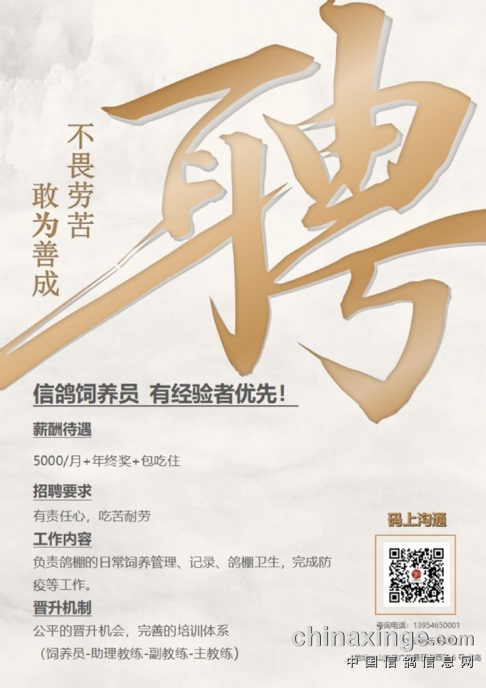 乐安招聘网最新招聘信息及观点论述
